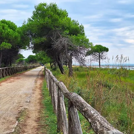 Διαμέρισμα Homely Flat In Pineda - Beahost *