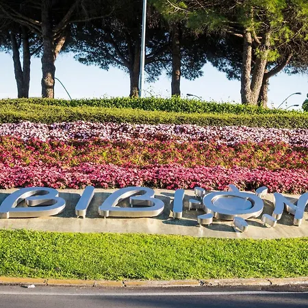 Apartment Homely Flat Near Pineda - Beahost